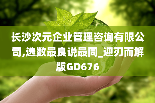 长沙次元企业管理咨询有限公司,选数最良说最同_迎刃而解版GD676