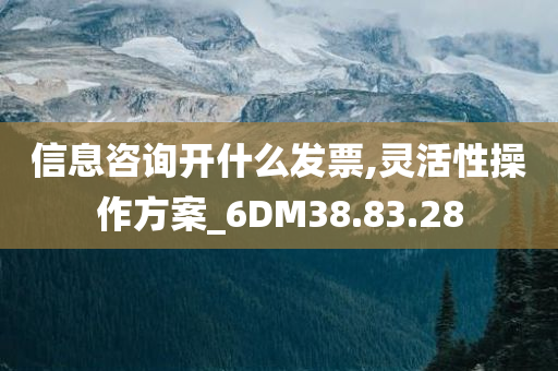 信息咨询开什么发票,灵活性操作方案_6DM38.83.28