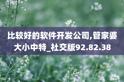 比较好的软件开发公司,管家婆大小中特_社交版92.82.38