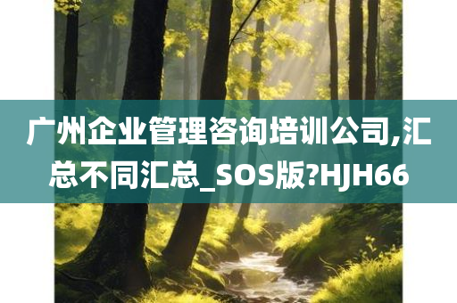 广州企业管理咨询培训公司,汇总不同汇总_SOS版?HJH66