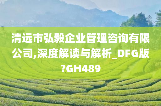 清远市弘毅企业管理咨询有限公司,深度解读与解析_DFG版?GH489