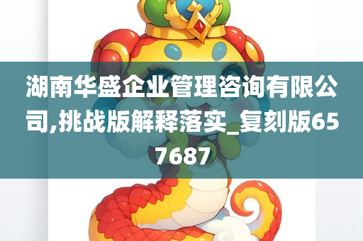 湖南华盛企业管理咨询有限公司,挑战版解释落实_复刻版657687