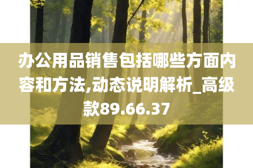 办公用品销售包括哪些方面内容和方法,动态说明解析_高级款89.66.37