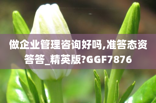 做企业管理咨询好吗,准答态资答答_精英版?GGF7876