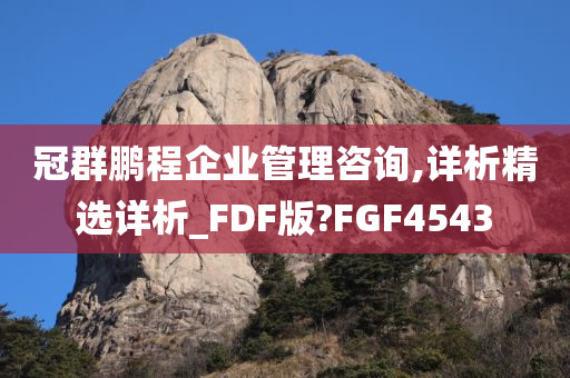 冠群鹏程企业管理咨询,详析精选详析_FDF版?FGF4543