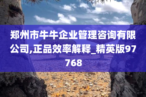 郑州市牛牛企业管理咨询有限公司,正品效率解释_精英版97768