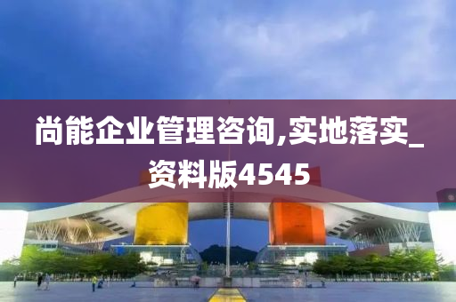 尚能企业管理咨询,实地落实_资料版4545