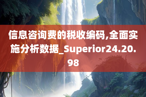 信息咨询费的税收编码,全面实施分析数据_Superior24.20.98