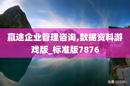 赢途企业管理咨询,数据资料游戏版_标准版7876