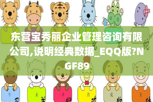 东营宝秀丽企业管理咨询有限公司,说明经典数据_EQQ版?NGF89