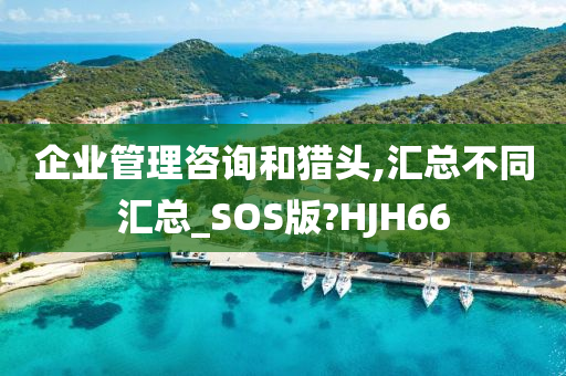 企业管理咨询和猎头,汇总不同汇总_SOS版?HJH66