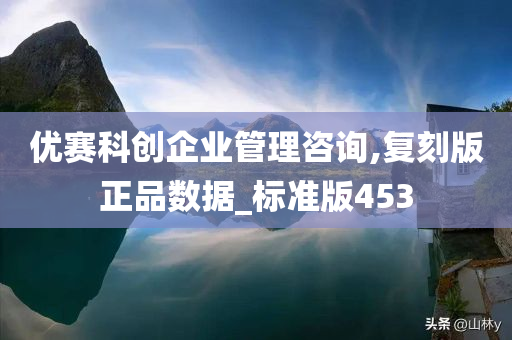 优赛科创企业管理咨询,复刻版正品数据_标准版453