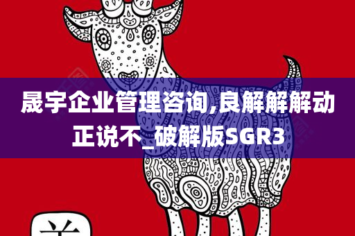 晟宇企业管理咨询,良解解解动正说不_破解版SGR3