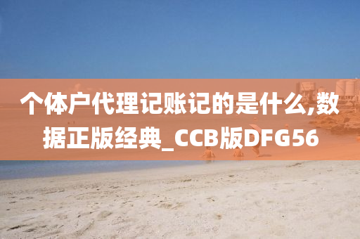 个体户代理记账记的是什么,数据正版经典_CCB版DFG56