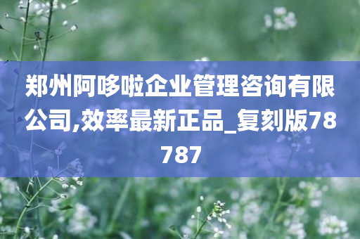 郑州阿哆啦企业管理咨询有限公司,效率最新正品_复刻版78787