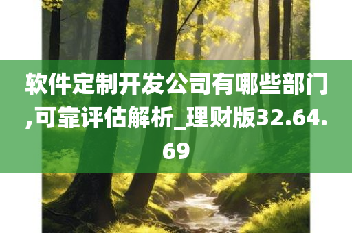 软件定制开发公司有哪些部门,可靠评估解析_理财版32.64.69