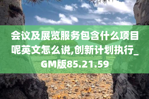 会议及展览服务包含什么项目呢英文怎么说,创新计划执行_GM版85.21.59