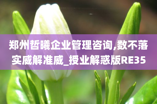 郑州哲曦企业管理咨询,数不落实威解准威_授业解惑版RE35