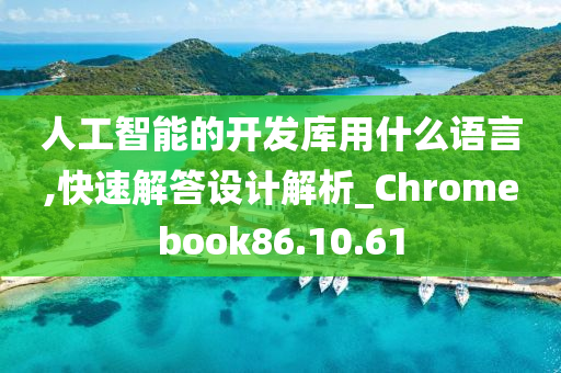 人工智能的开发库用什么语言,快速解答设计解析_Chromebook86.10.61