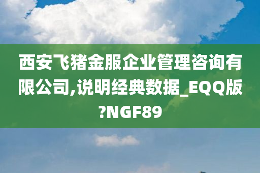 西安飞猪金服企业管理咨询有限公司,说明经典数据_EQQ版?NGF89