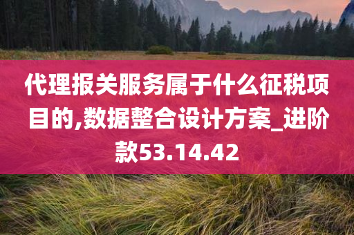 代理报关服务属于什么征税项目的,数据整合设计方案_进阶款53.14.42