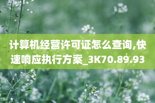 计算机经营许可证怎么查询,快速响应执行方案_3K70.89.93