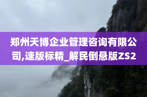 郑州天博企业管理咨询有限公司,速版标精_解民倒悬版ZS2