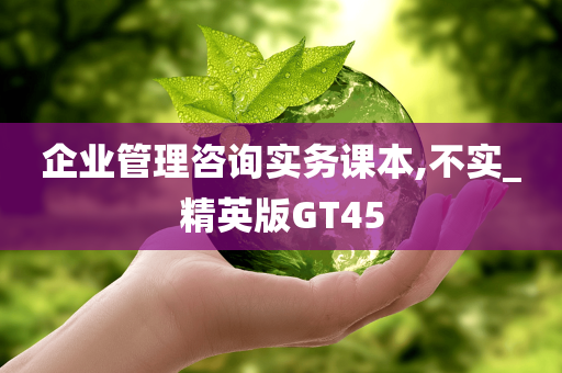 企业管理咨询实务课本,不实_精英版GT45