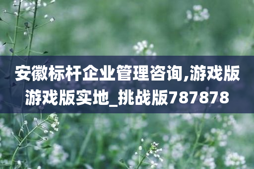 安徽标杆企业管理咨询,游戏版游戏版实地_挑战版787878