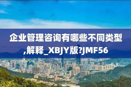 企业管理咨询有哪些不同类型,解释_XBJY版?JMF56