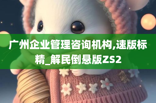 广州企业管理咨询机构,速版标精_解民倒悬版ZS2