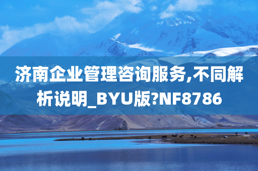 济南企业管理咨询服务,不同解析说明_BYU版?NF8786