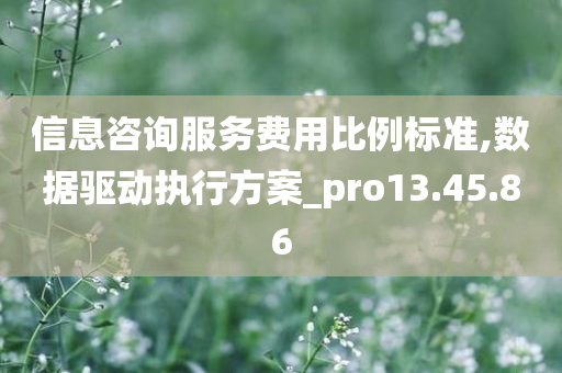 信息咨询服务费用比例标准,数据驱动执行方案_pro13.45.86