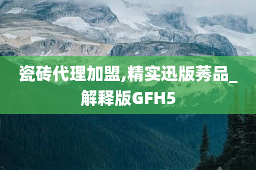 瓷砖代理加盟,精实迅版莠品_解释版GFH5