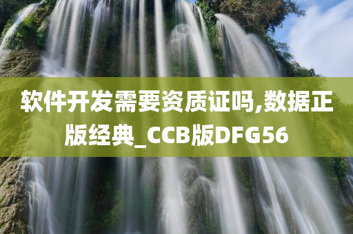 软件开发需要资质证吗,数据正版经典_CCB版DFG56