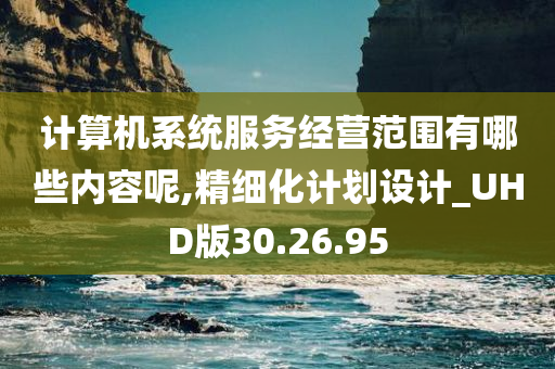 计算机系统服务经营范围有哪些内容呢,精细化计划设计_UHD版30.26.95