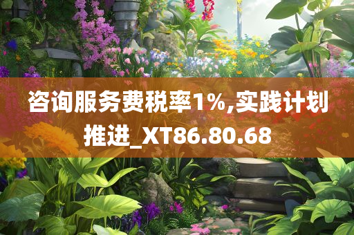 咨询服务费税率1%,实践计划推进_XT86.80.68