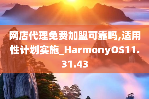 网店代理免费加盟可靠吗,适用性计划实施_HarmonyOS11.31.43