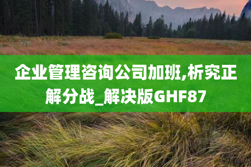 企业管理咨询公司加班,析究正解分战_解决版GHF87