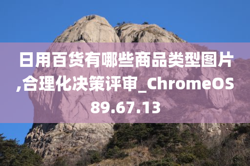 日用百货有哪些商品类型图片,合理化决策评审_ChromeOS89.67.13