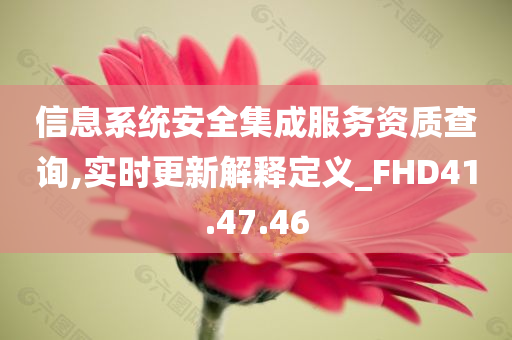 信息系统安全集成服务资质查询,实时更新解释定义_FHD41.47.46