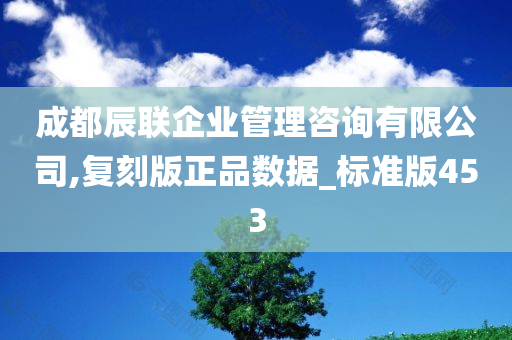 成都辰联企业管理咨询有限公司,复刻版正品数据_标准版453