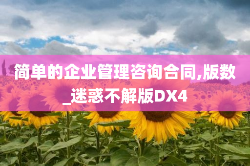 简单的企业管理咨询合同,版数_迷惑不解版DX4