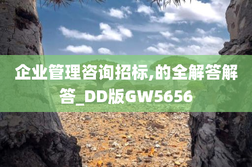 企业管理咨询招标,的全解答解答_DD版GW5656