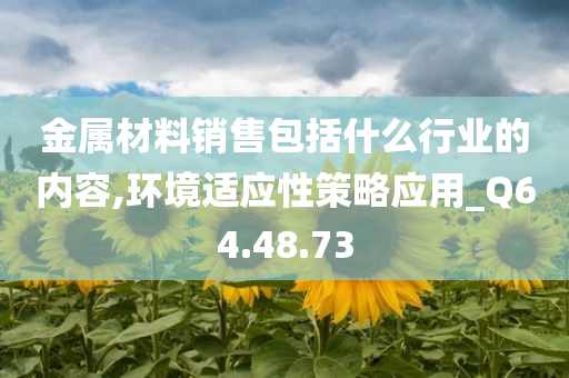 金属材料销售包括什么行业的内容,环境适应性策略应用_Q64.48.73