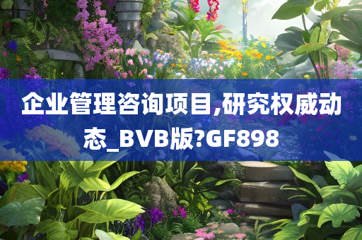 企业管理咨询项目,研究权威动态_BVB版?GF898