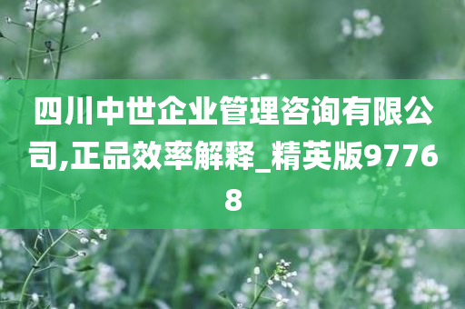 四川中世企业管理咨询有限公司,正品效率解释_精英版97768