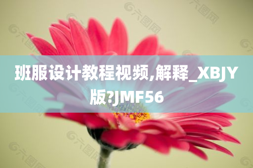 班服设计教程视频,解释_XBJY版?JMF56