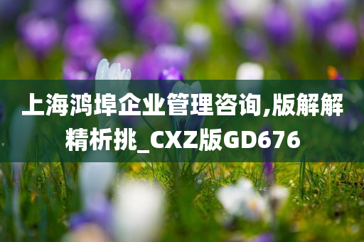 上海鸿埠企业管理咨询,版解解精析挑_CXZ版GD676