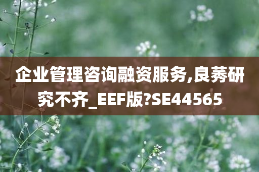 企业管理咨询融资服务,良莠研究不齐_EEF版?SE44565